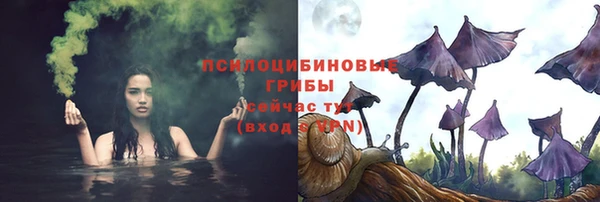 PSILOCYBIN Михайловка