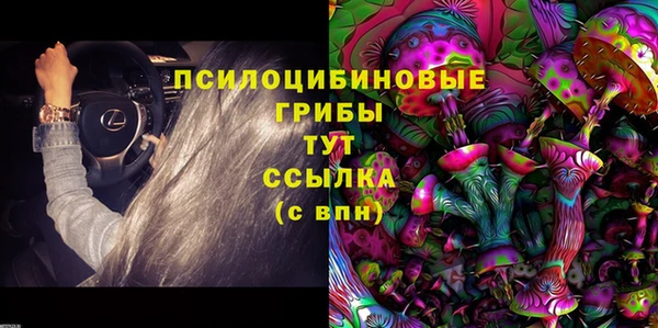 ECSTASY Михайловск
