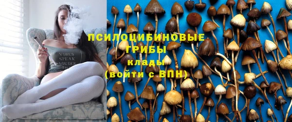 PSILOCYBIN Михайловка