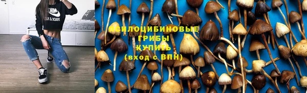 ECSTASY Михайловск