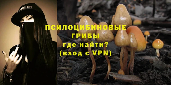 дживик Михайлов