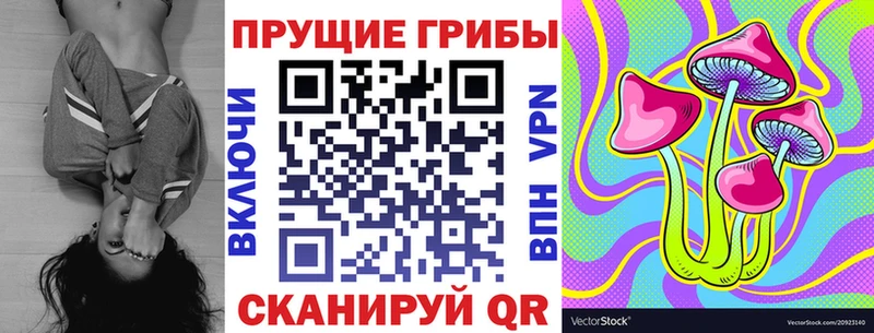 Псилоцибиновые грибы Psilocybine cubensis Велиж