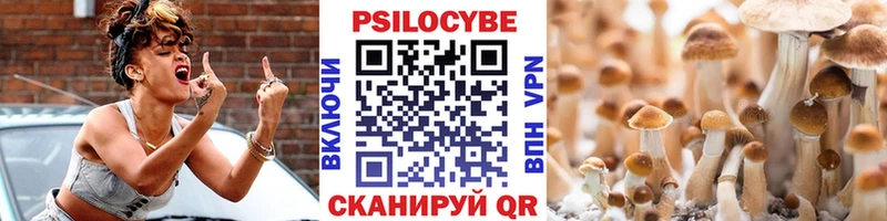 Галлюциногенные грибы Psilocybine cubensis  Купить закладки  Велиж 